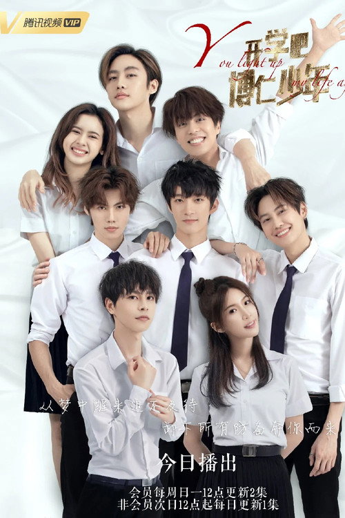 You Light Up My Life Again poster