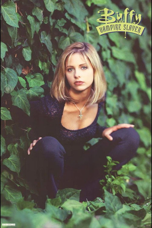 Buffy the Vampire Slayer poster