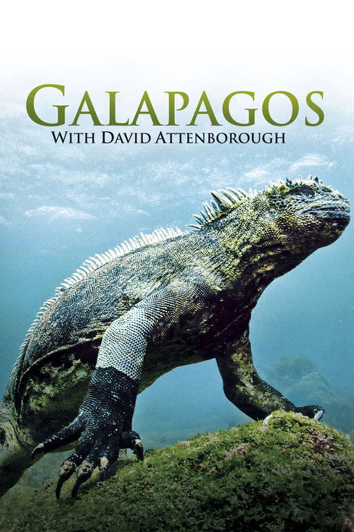 Galapagos 3D with David Attenborough poster