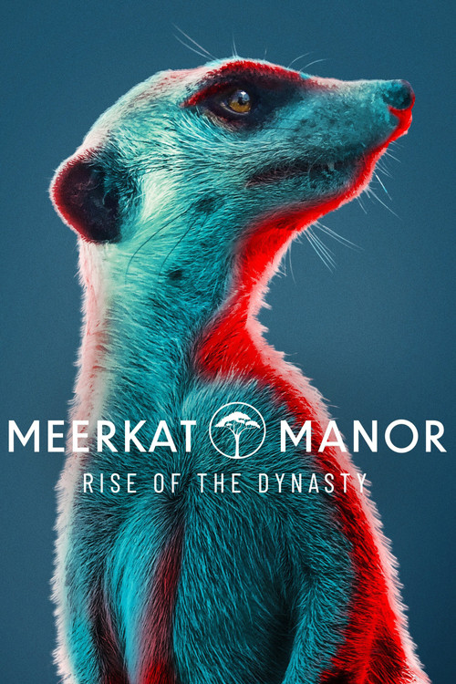 Meerkat Manor: Rise of the Dynasty poster