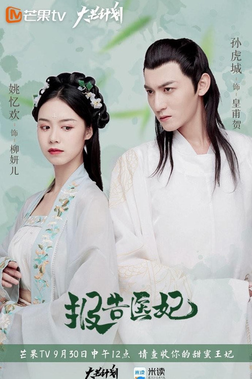 Doctor Princess poster