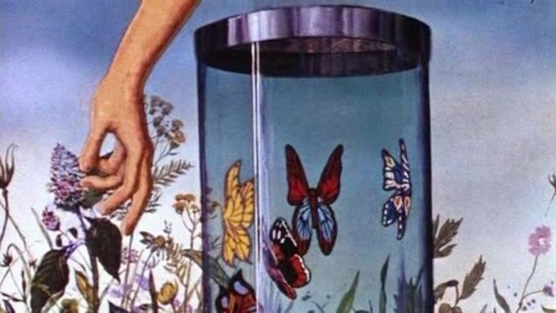 Butterfly still 2