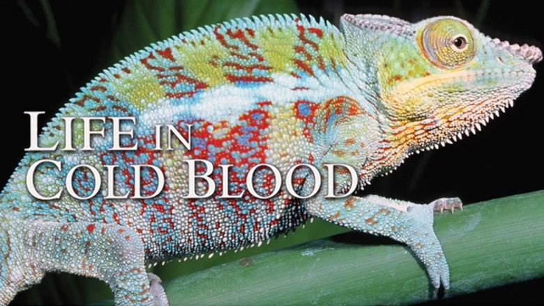 Life in Cold Blood still 2
