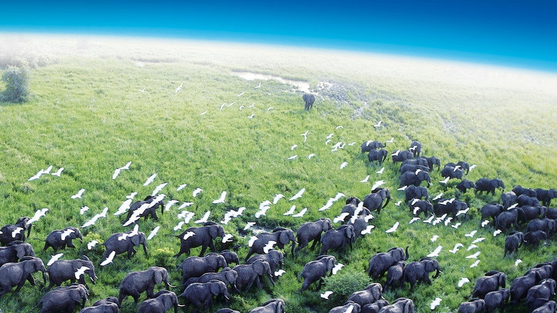 Planet Earth still 5