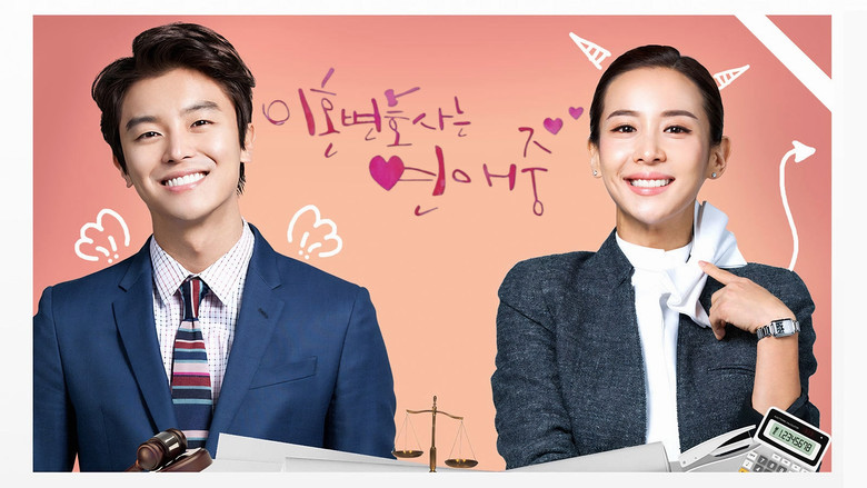 Divorce Lawyer in Love still 2