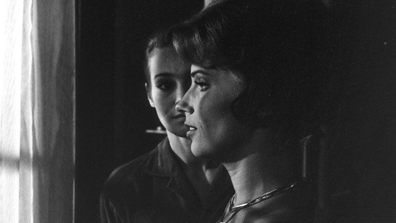 The Silence still 8